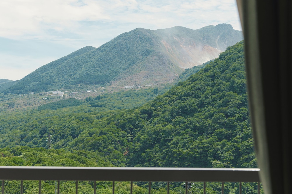 スタンダード ルーム バルコニー マウンテンビュー バルコニーからの眺望0 | フォートリート箱根仙石原