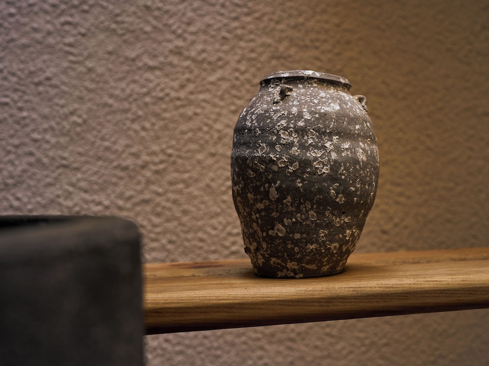 ラグジュアリー ヴィラ リビング エリア0 | 大門屋 大阪 岸里玉出 -空窓の湯-