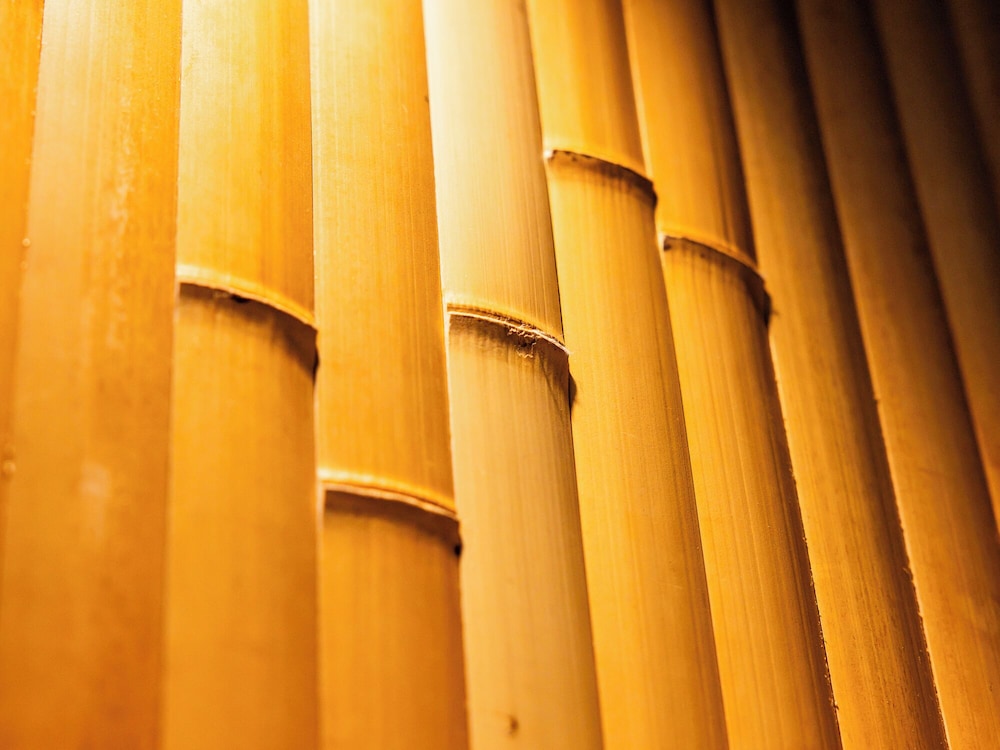 スタンダード ツインルーム ダブルベッド 2 台 禁煙 リバービュー 客室6 | あけくれ京都白川