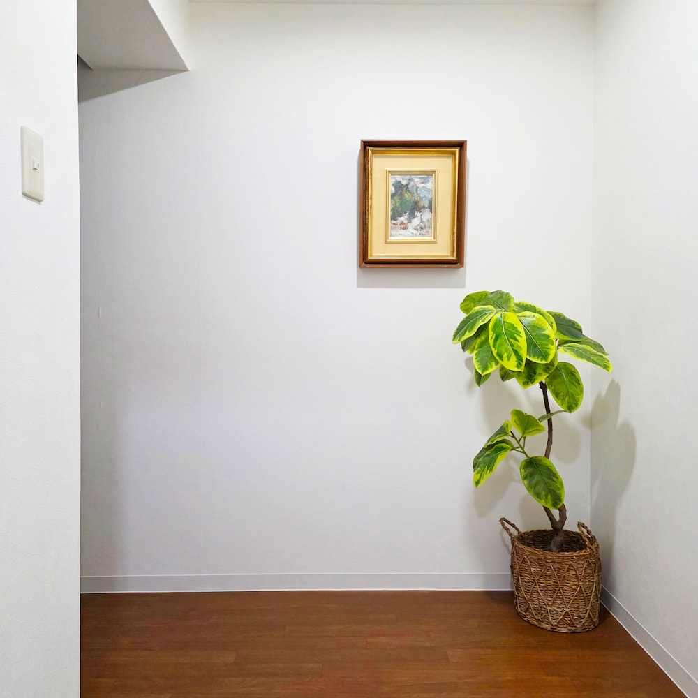 客室1 | OLIVE stay