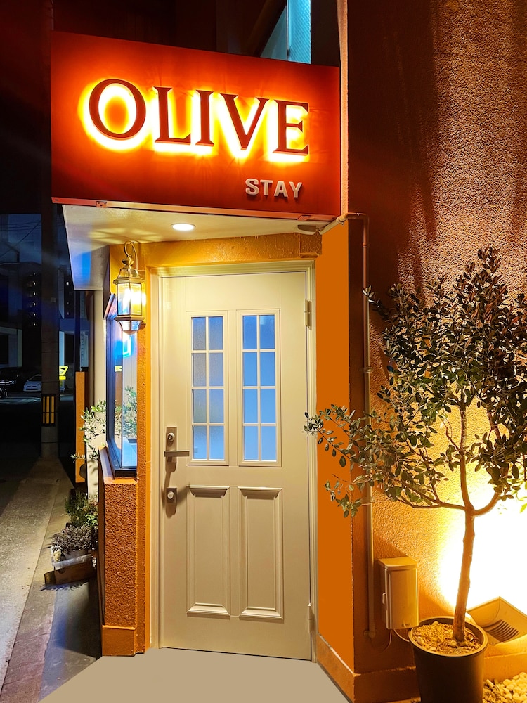 OLIVE stay