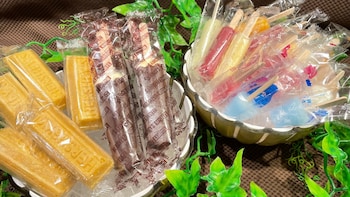 天然温泉 越前の湯 御宿 野乃福井