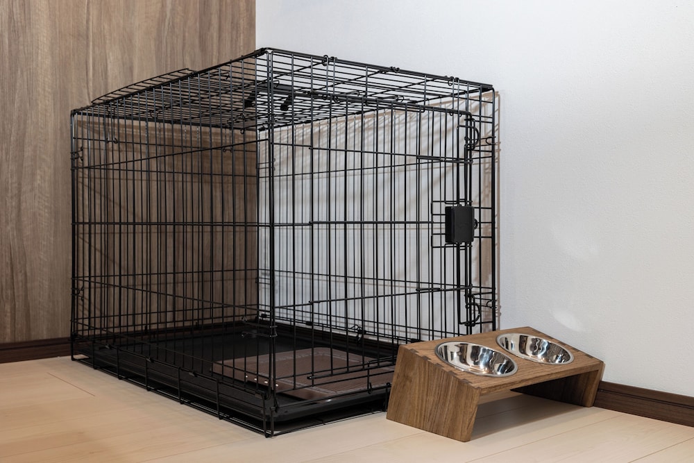 ヴィラ パティオ 客室27 | Villa Dogika TAKASHIMA