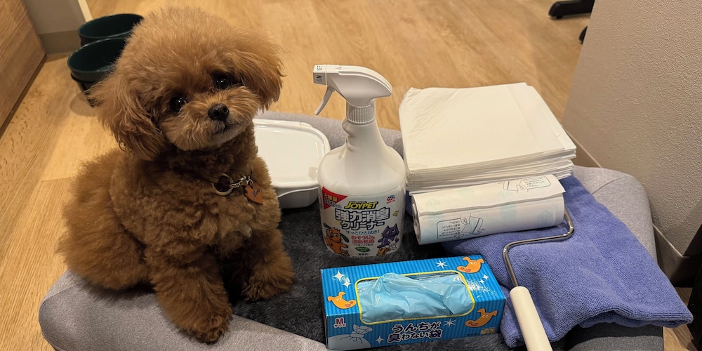 [D_ドッグ可]2クイーン/天然温泉,サウナ，ドッグラン 禁煙 客室の設備とサービス8 | Rakuten STAY VILLA 由布院温泉