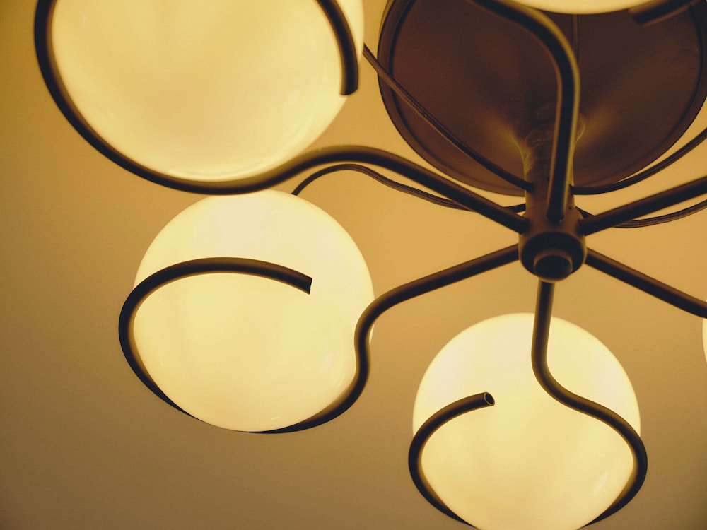 施設内の設備1 | BIRD HOTEL