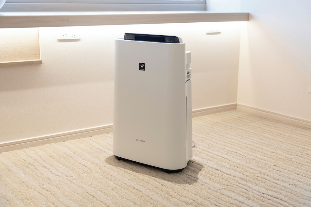 デラックス コンドミニアム 客室8 | エントテラス浅草橋