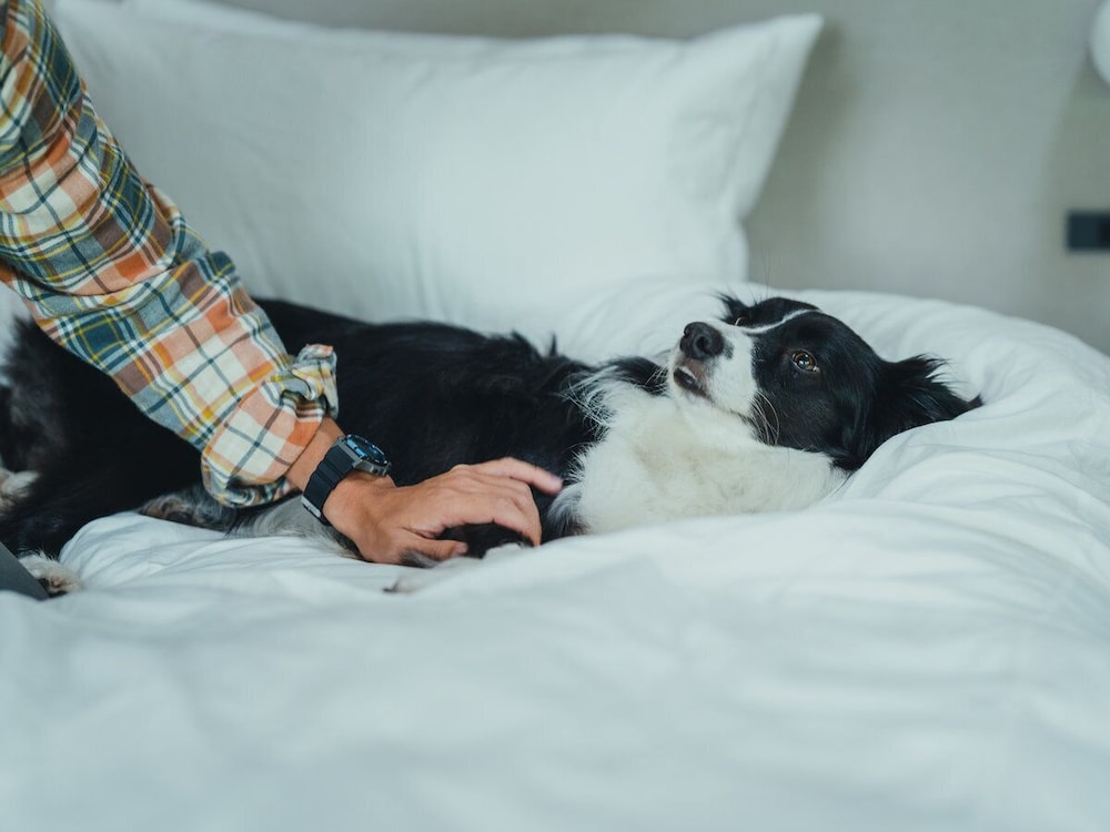 ハウス 男女共用ドミトリー ガーデンビュー 客室6 | SANU 2nd Home 南アルプス 1st