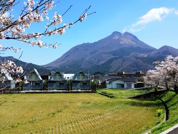 由布院温泉 8A1 (やえいち)