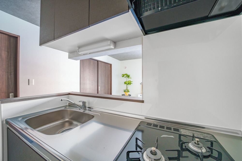 アパートメント 専用キッチン4 | HILLS NISEKO 105