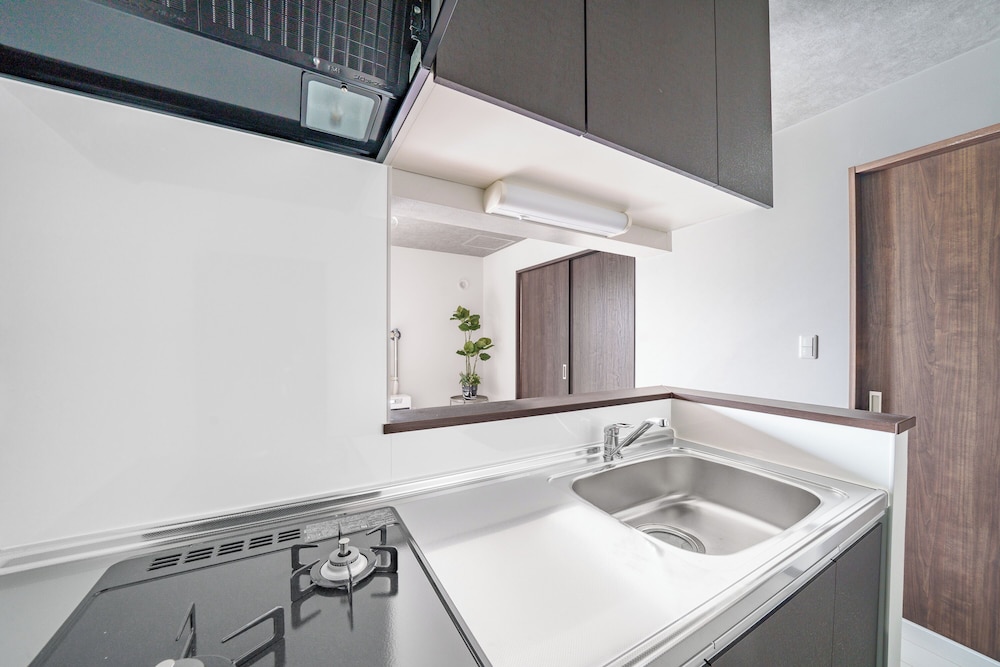 アパートメント 専用キッチン2 | HILLS NISEKO 206