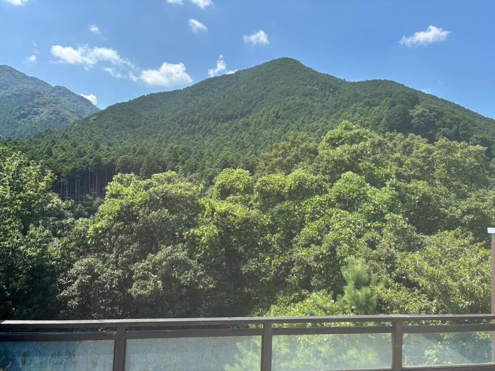 ラグジュアリー スイート 1 ベッドルーム 禁煙 マウンテンビュー バルコニーからの眺望0 | 大同ガーデンホテル湯の山スパリゾート