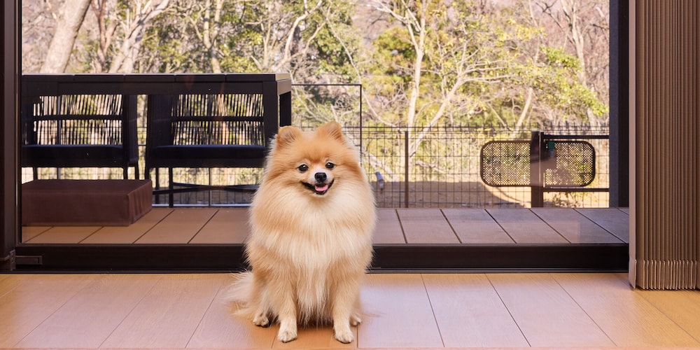 [C]ペットOK / シングルベッド4台+デイベッド1台 / 111平米 / 天然温泉 禁煙 | Rakuten STAY VILLA 箱根強羅