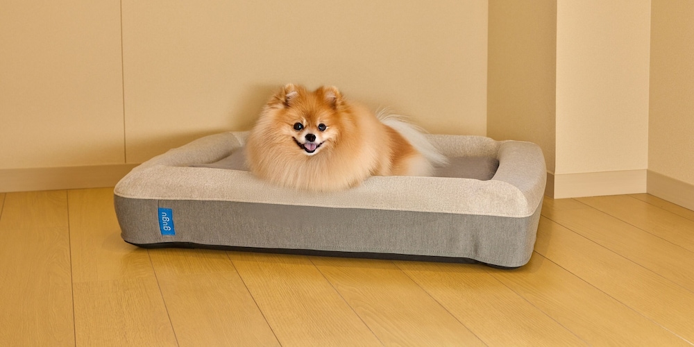 [C]ペットOK / シングルベッド4台+デイベッド1台 / 111平米 / 天然温泉 禁煙 客室10 | Rakuten STAY VILLA 箱根強羅