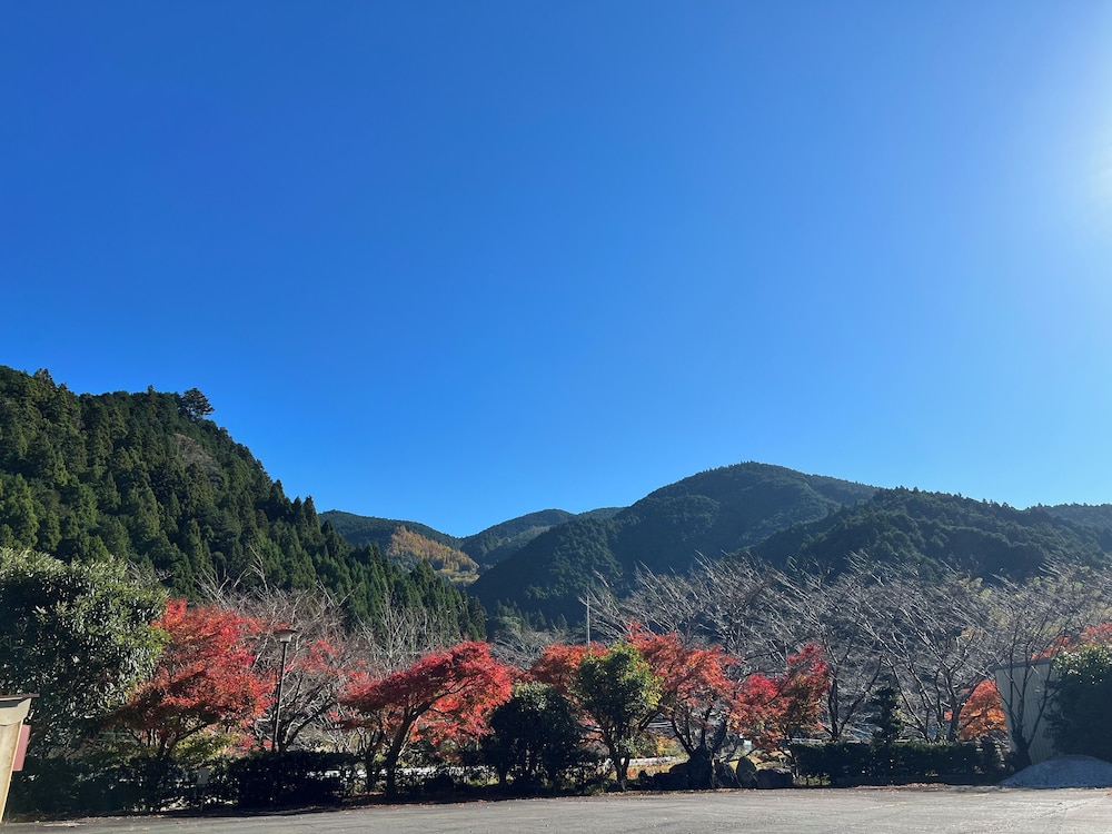 スタンダード ツインルーム ガーデンビュー | 瓜島温泉 翠紅苑さくら