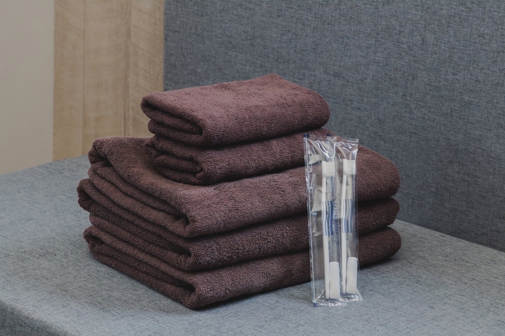 トリプルルーム 禁煙 バスルーム7 | 宿家 浅草 粋