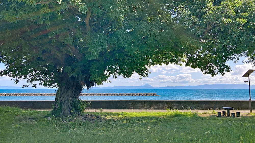 海眺望 トレーラーS02/シングル*4 (禁煙) 部屋からの景観0 | THOUSAND　GARDEN　TARUMIZU