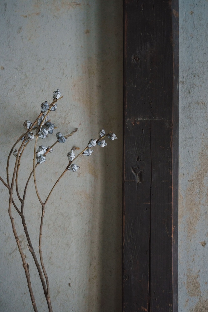 ヴィラ ガーデンビュー 内装の詳細1 | MUDANI 達磨町