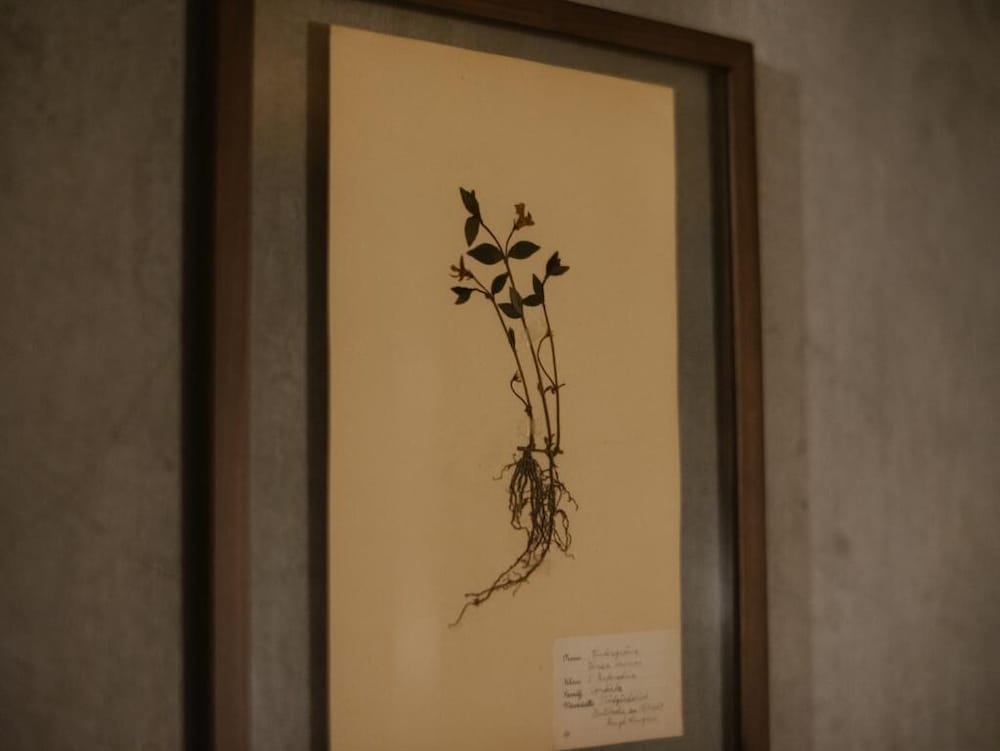 和室S (シャワー.トイレなし) 禁煙 内装の詳細1 | UNTEN INN