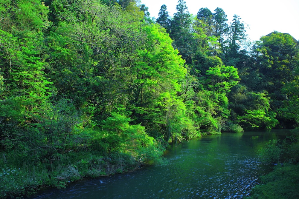 スタンダード ルーム 客室3 | 山中温泉 お花見久兵衛