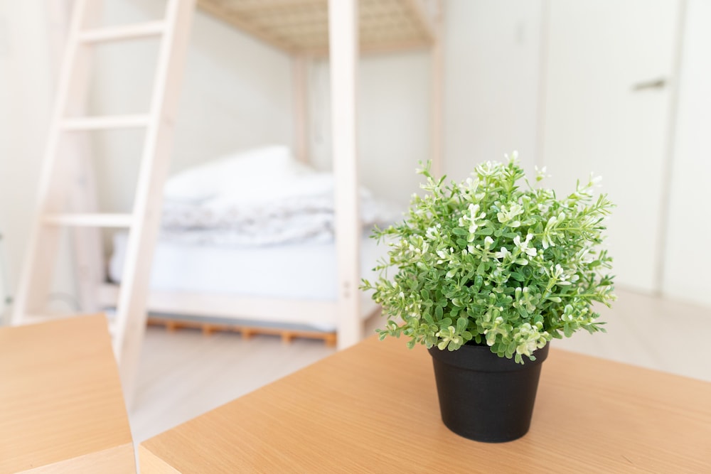 4 人部屋 共用バスルーム 客室1 | カサブランカ ゲストハウス