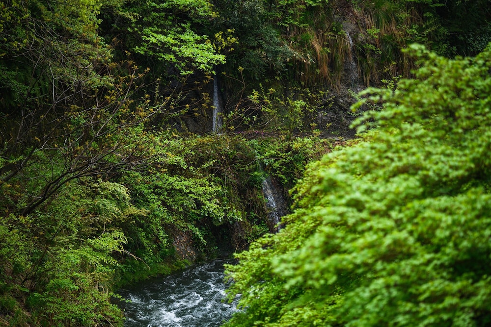 [渓流眺望]サウナ＆源泉露天風呂付き洋室ツイン(2025年誕生) 部屋からの景観0 | 山中温泉 白鷺湯たわらや