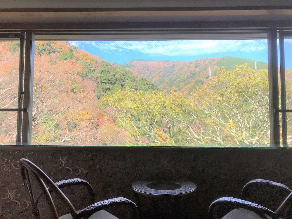 和室　バス・トイレ付き　山側 部屋からの景観3 | ケイズハウス箱根