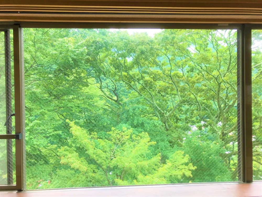 和室　スタンダード　４～６名利用　山側 部屋からの景観0 | ケイズハウス箱根