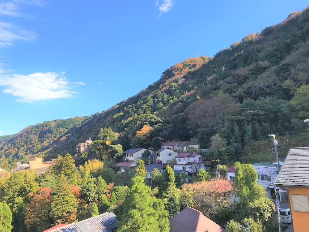 和室　バス・トイレ付き　山側 部屋からの景観2 | ケイズハウス箱根