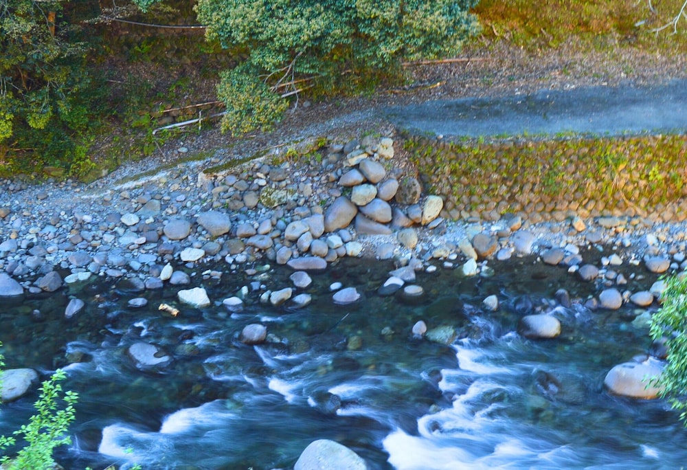露天風呂付き客室<竹の音> 客室5 | たつた旅館