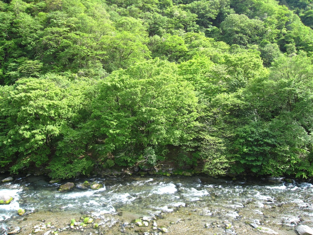 和室 山側 禁煙 バルコニーからの眺望0 | 小槌の宿 鶴亀大吉