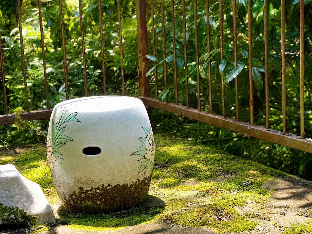 風 スタンダードルーム 禁煙 部屋からの景観0 | 雲の園