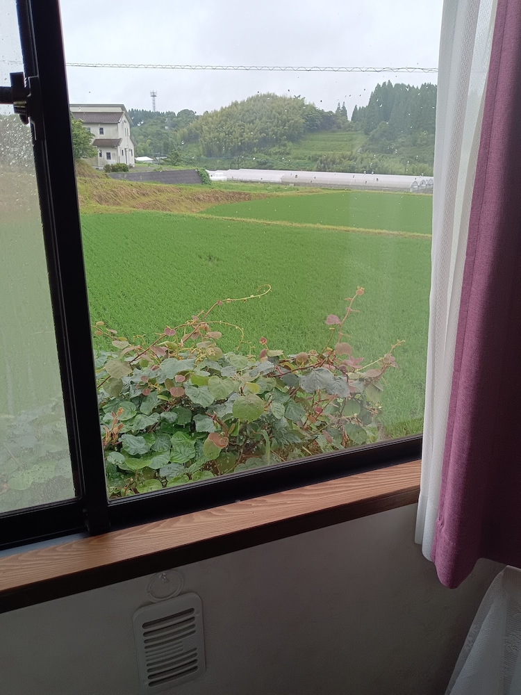シングルルーム キングベッド 1 台 共用バスルーム 内装0 | ゲストハウスまみ