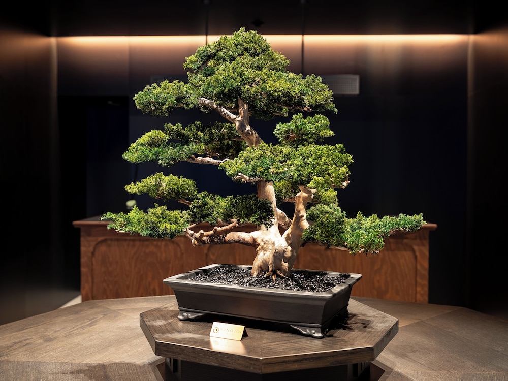 フロント1 | VADE HOTEL SHIBUYA | VADE HOTEL SHIBUYA