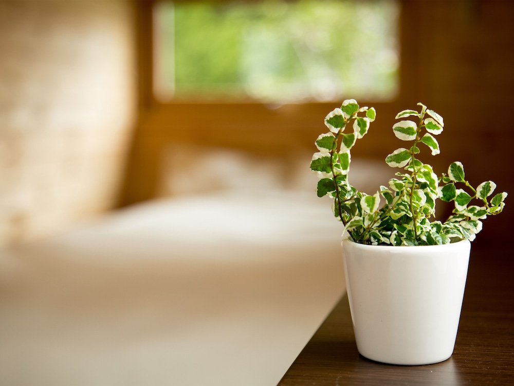 ダブルベッドとロフトベッドのお部屋[キッチン付き]禁煙 客室1 | BRICK HOUSE ふらの