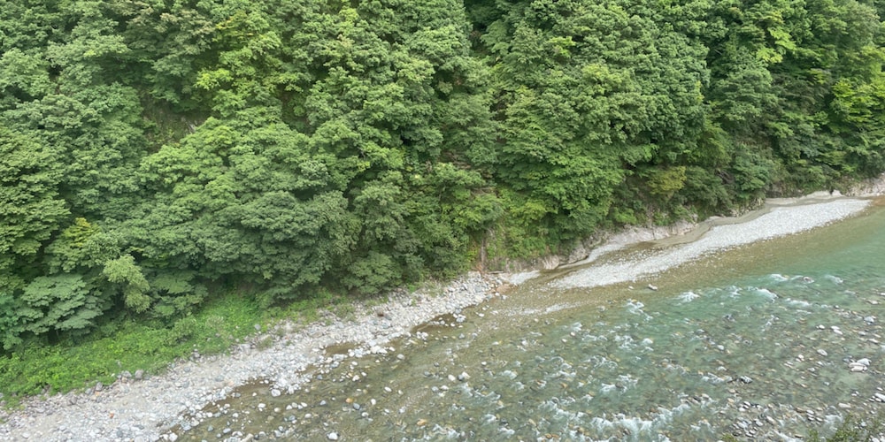 和室 2人部屋 専用バスルーム付 部屋からの景観0 | 延対寺荘