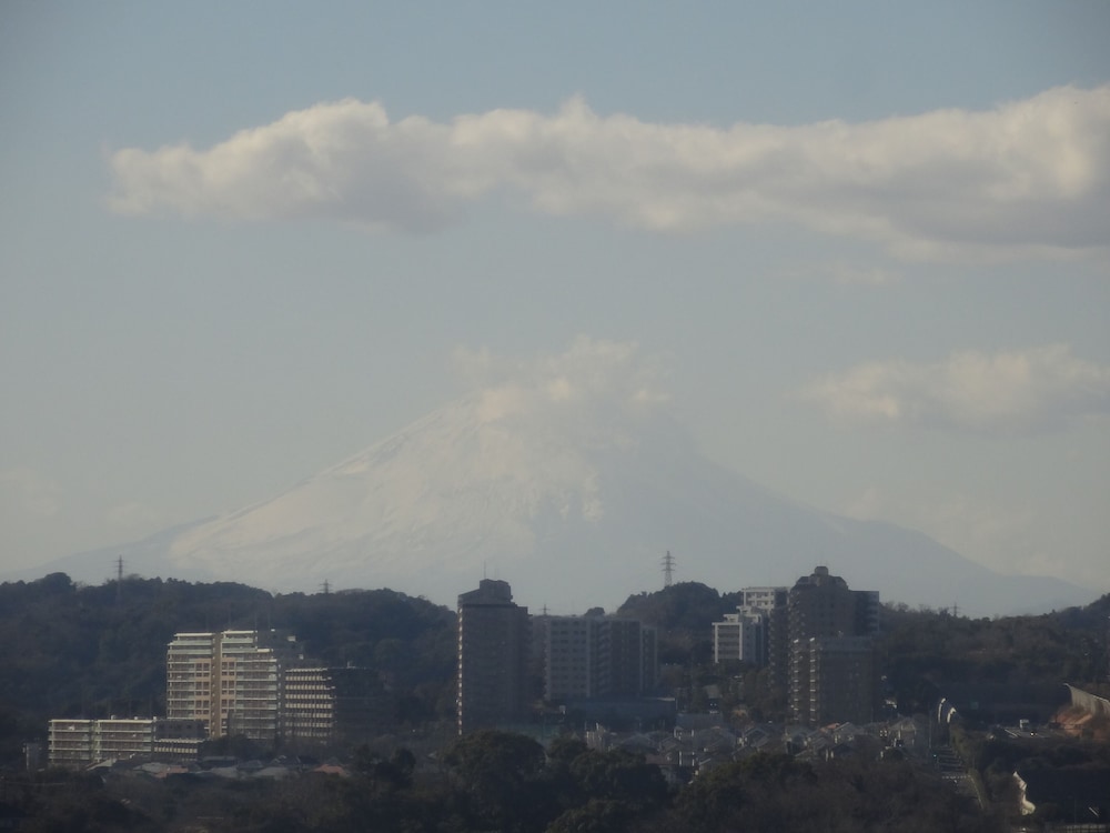 スタンダード ツインルーム 禁煙 客室2 | 横浜テクノタワーホテル