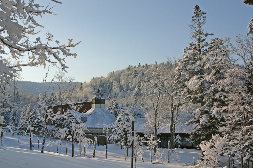 メインイメージ | 奥屈斜路温泉ランプの宿森つべつ