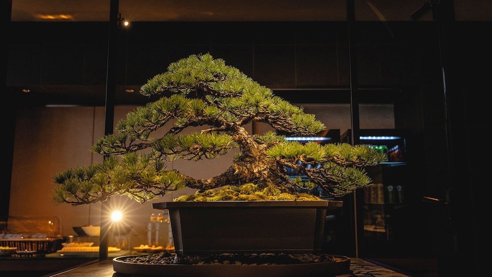 プレミアム ツインルーム 禁煙 クラブラウンジ利用可 客室14 | ホテルグレイスリー京都三条