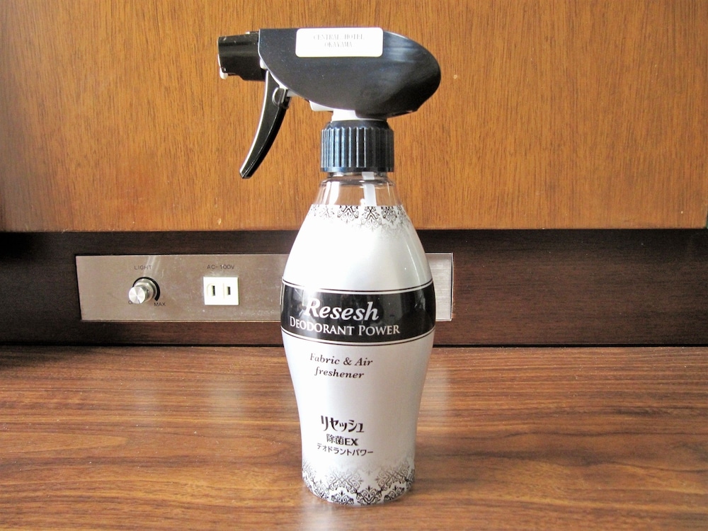 エコノミー ダブルルーム 禁煙 (13 ㎡) 客室の設備とサービス3 | セントラルホテル岡山
