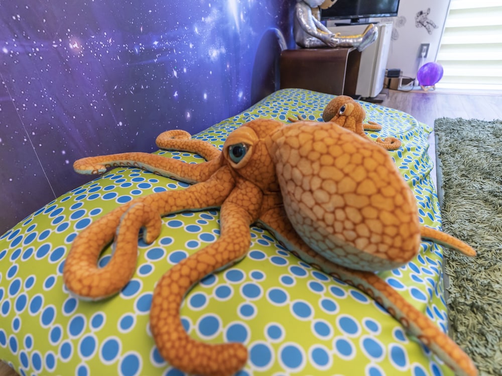 デラックス ルーム 禁煙 共用バスルーム 客室13 | おもてなしホステル 宮島