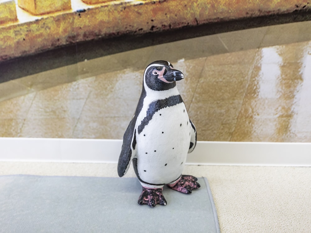 コンフォート ルーム 禁煙 共用バスルーム 客室14 | おもてなしホステル 宮島