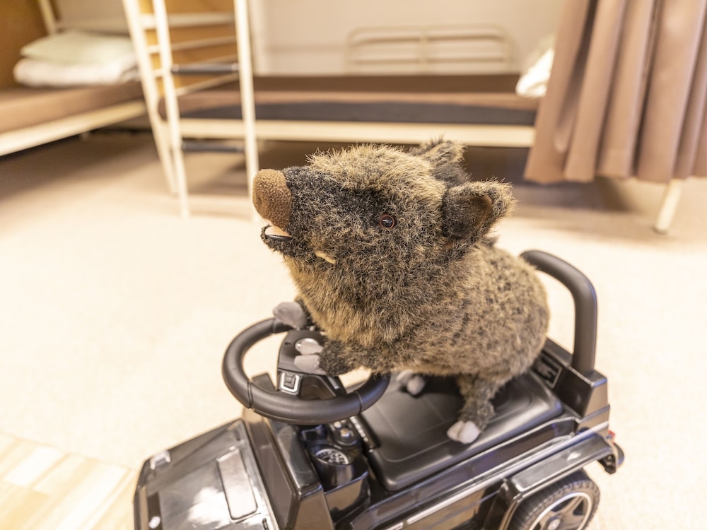 エクスクルーシブ ルーム 禁煙 共用バスルーム 客室13 | おもてなしホステル 宮島