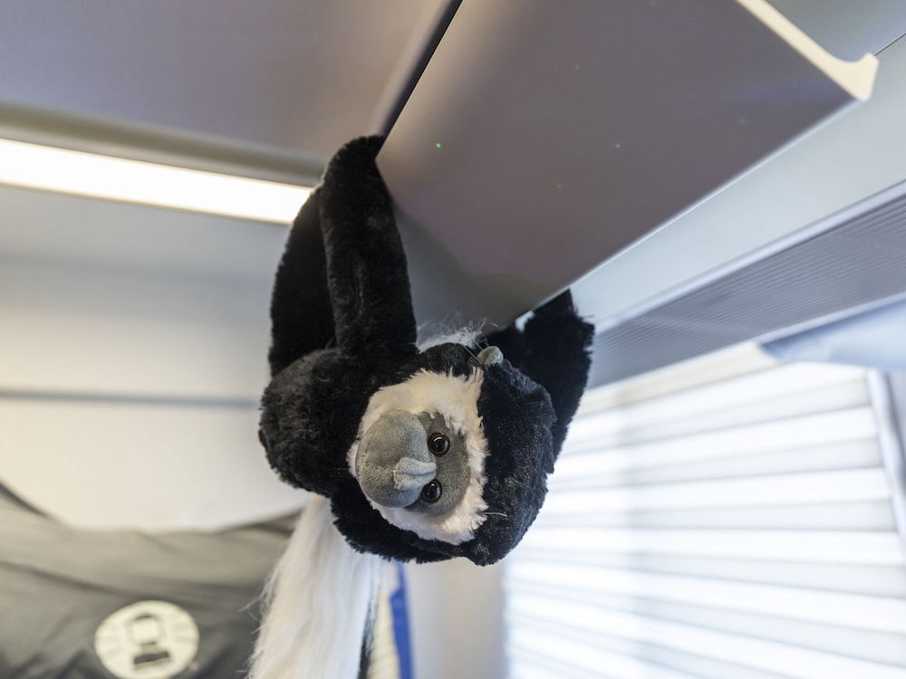 デザイン ルーム 禁煙 共用バスルーム 客室19 | おもてなしホステル 宮島