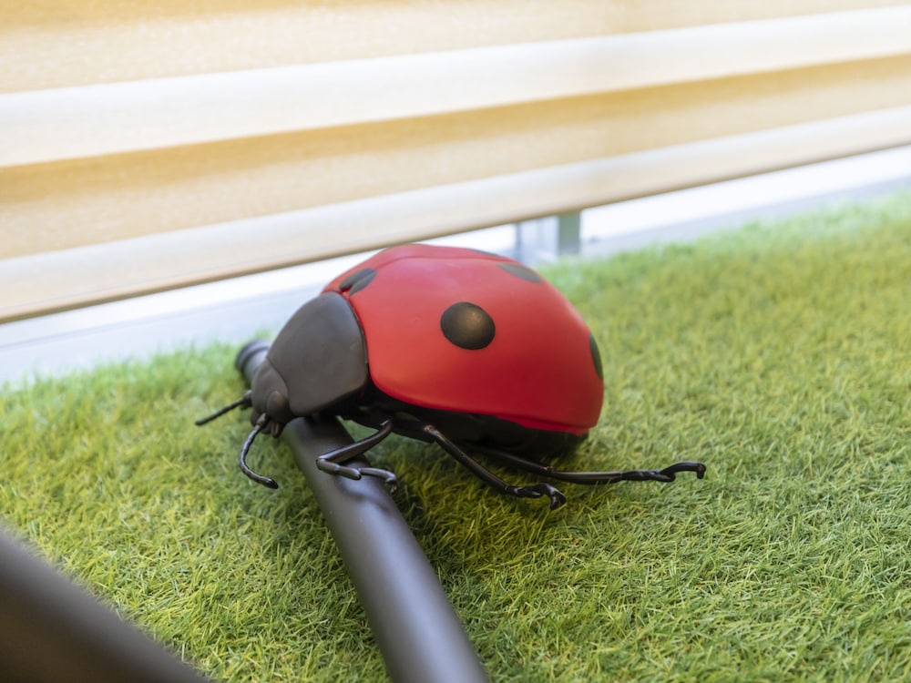 デザイン ルーム 禁煙 共用バスルーム 客室20 | おもてなしホステル 宮島