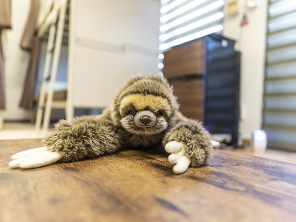 エクスクルーシブ ルーム 禁煙 共用バスルーム 客室12 | おもてなしホステル 宮島