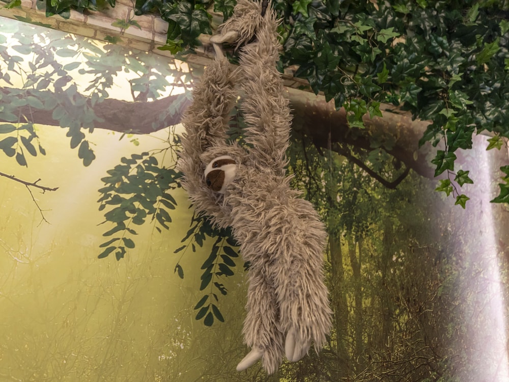 デザイン ルーム 禁煙 共用バスルーム 客室14 | おもてなしホステル 宮島