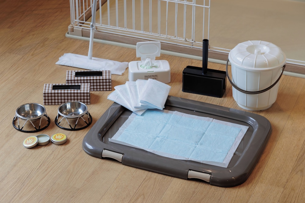 ドッグフレンドリールーム スタンダードツイン (禁煙) 客室の設備とサービス0 | 天然温泉 田沢湖レイクリゾート