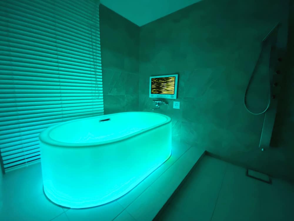 デザイン スイート 禁煙 ジェットバス0 | ホテル ザ グランデ心斎橋