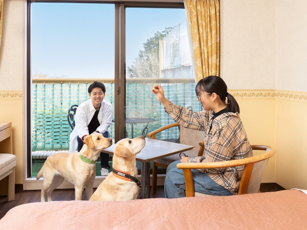 [ドッグフレンドリールーム] スタンダードツイン (禁煙) 客室3 | ほったらかしの宿 ゆうふり伊豆高原