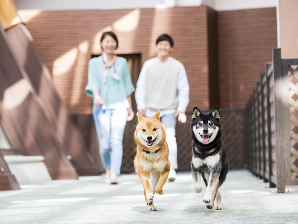 メインイメージ | 伊豆高原わんわんパラダイスホテル & コテージ